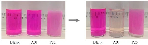 TITANIUM DIOXIDE NANO A01 TITANIUM DIOXIDE NANO A01